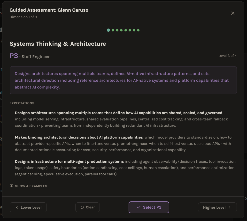Guided assessment interface showing Systems Thinking dimension with detailed expectations